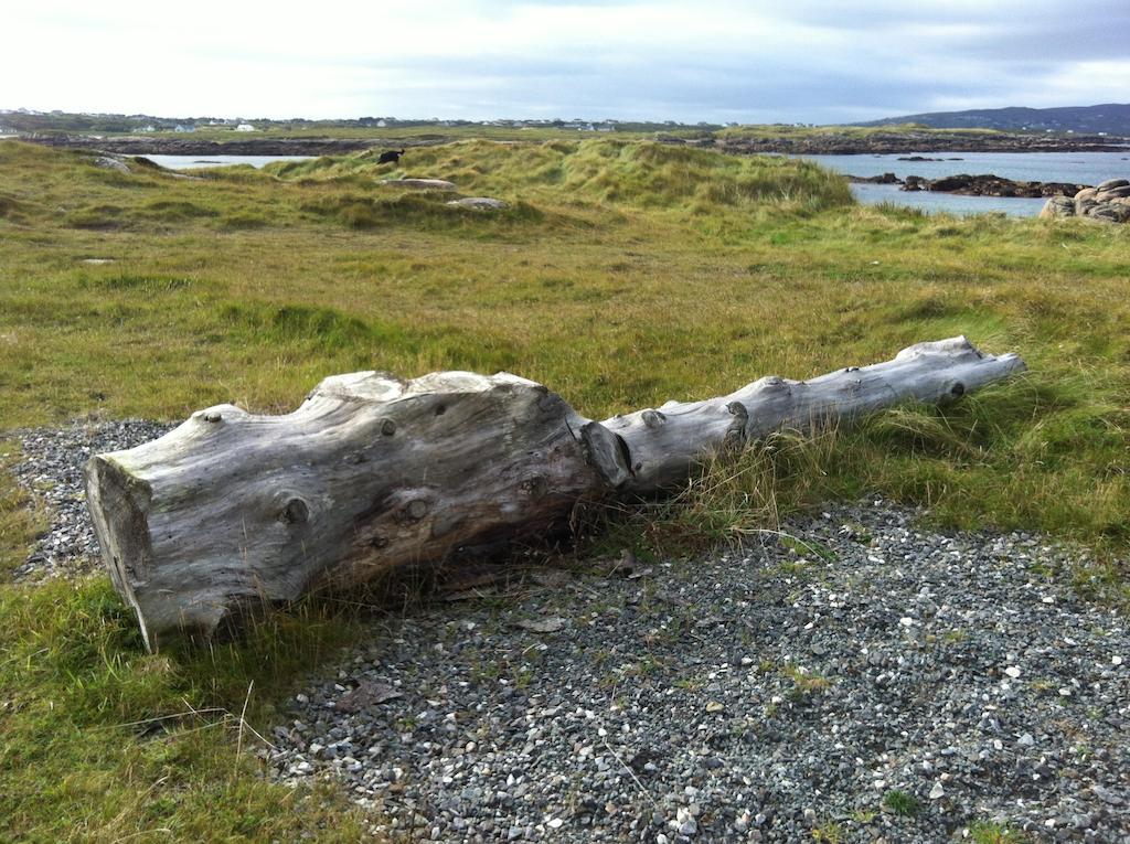 Teach Donncadh B&B Kincasslagh Exterior foto